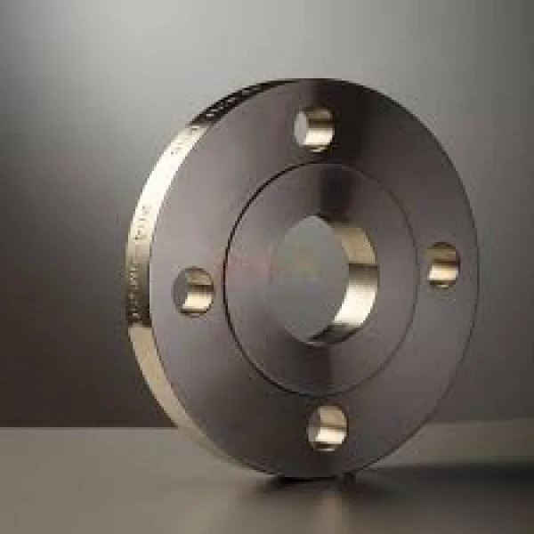 304 stainless steel flange