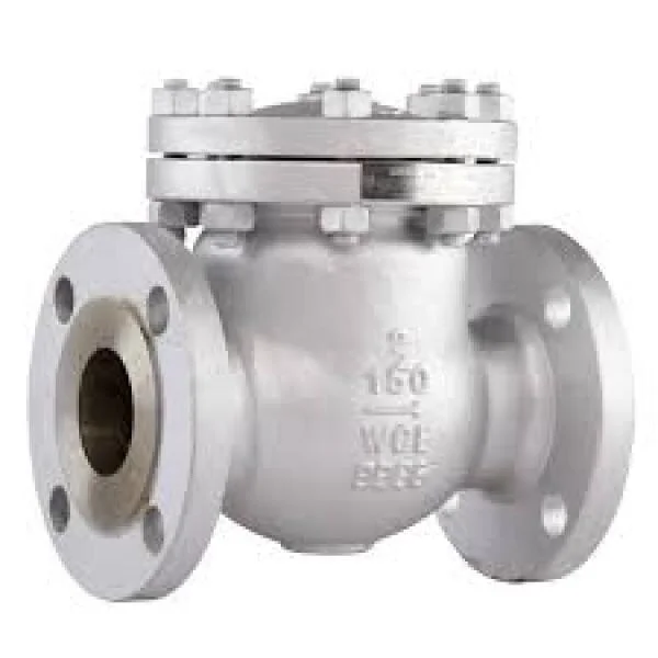Check valve flange