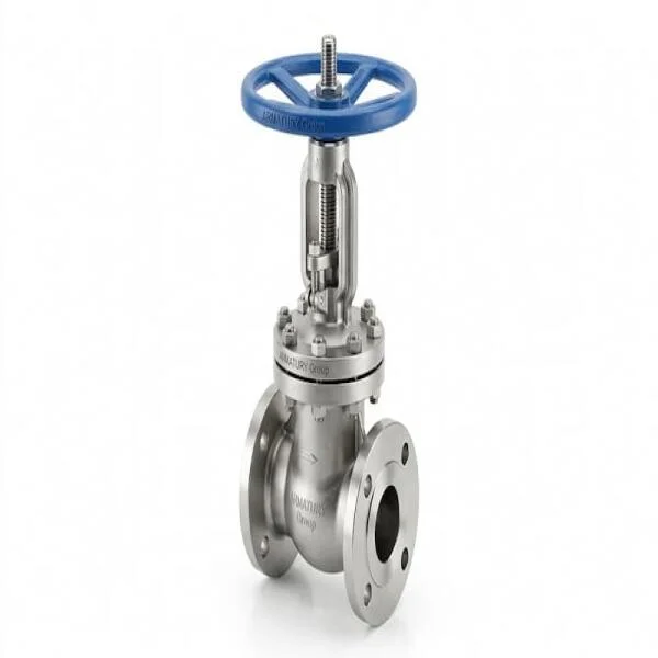 Armatury Valve Là Gì? Hướng Dẫn Toàn Diện Từ Chuyên Gia Ngành Van Công Nghiệp
