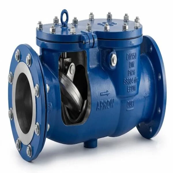 Swing Check Non Return Valve: Cấu Tạo, Bảng Giá Và Hướng Dẫn Lựa Chọn Chuẩn Kỹ Thuật