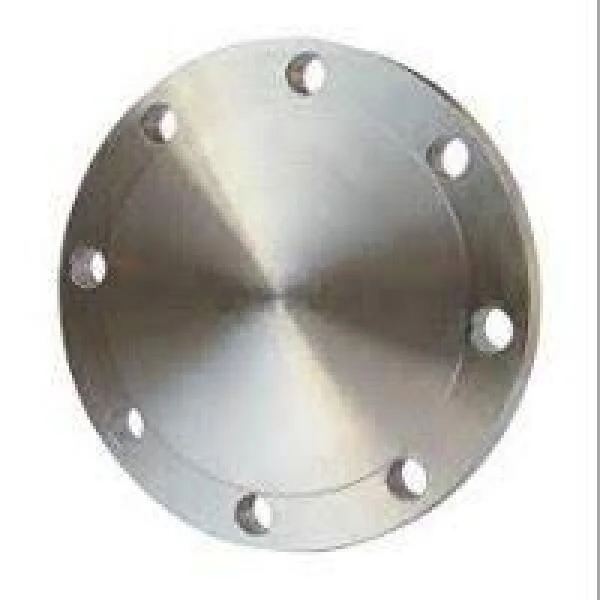 Blind flange 12