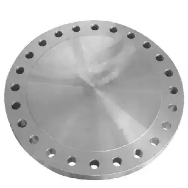 Blind flange 6 inch