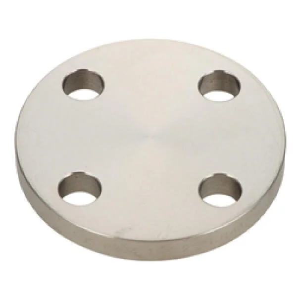 Blind flange stainless steel