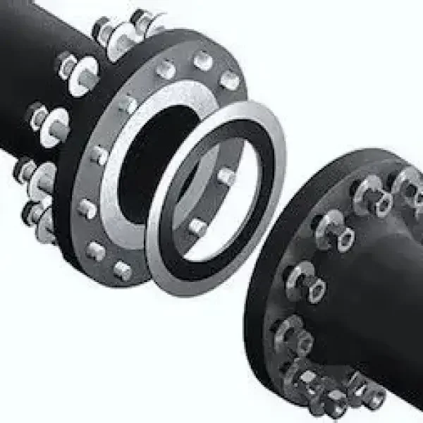 Flange Gasket: Sự hiểu biết chi tiết
