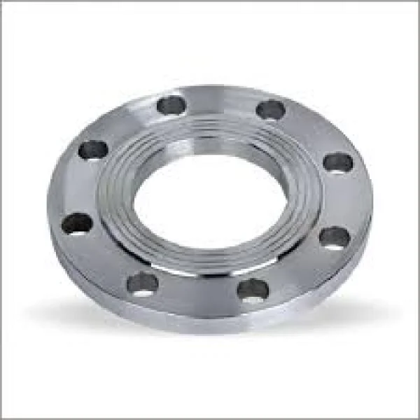 Flange SS304