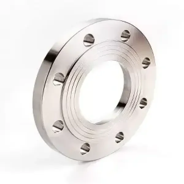 Flange SS316