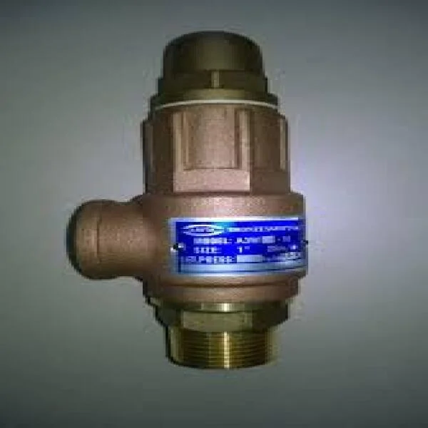 Van an toàn đồng dn15