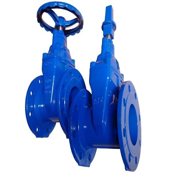 Van cổng DN80