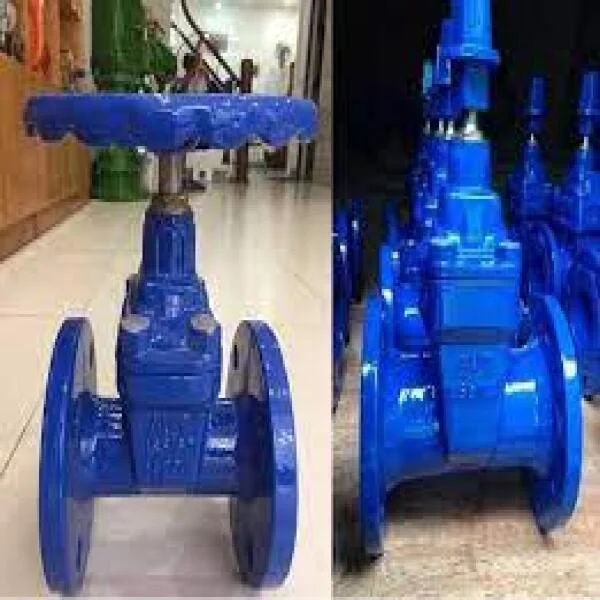 Van cổng gang AUT