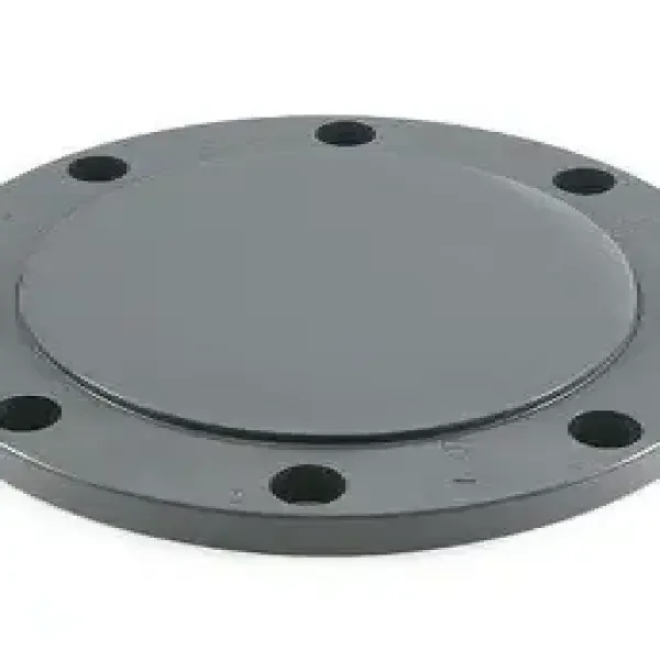 Thông tin chi tiết về mặt bích ppr