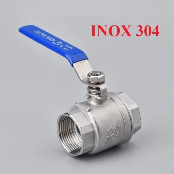 Van 21 Inox
