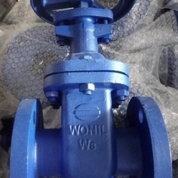 Van cổng D100