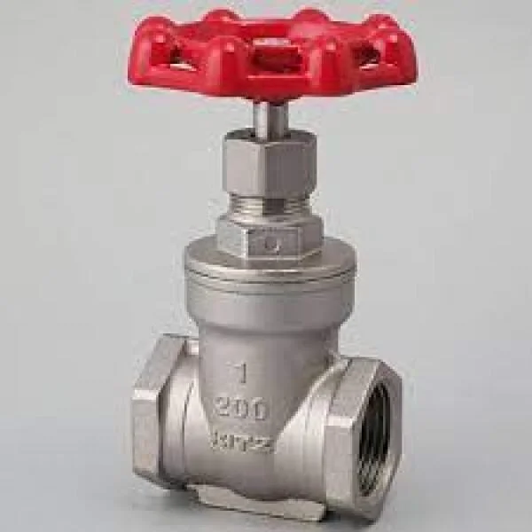 Van cổng DN25