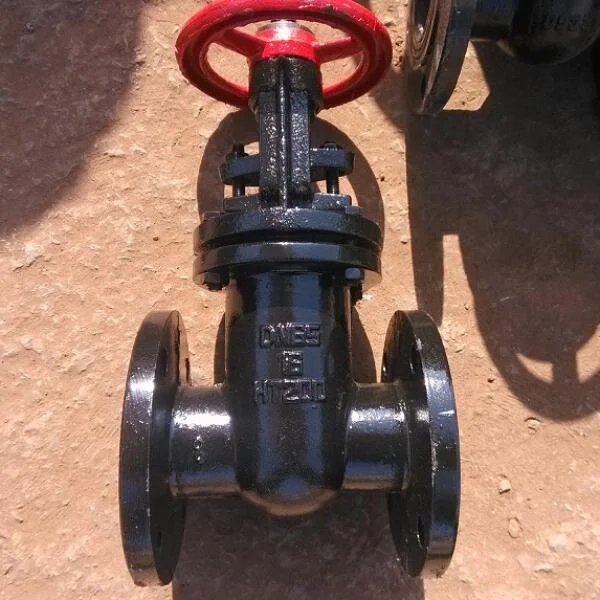 Van cổng ty chìm DN100