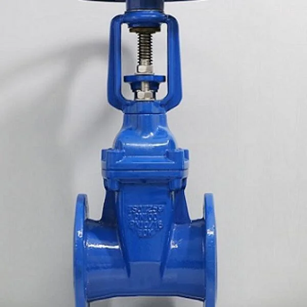 Van cửa mặt bích
