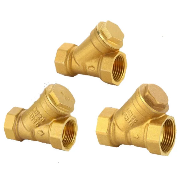 Y lọc D50