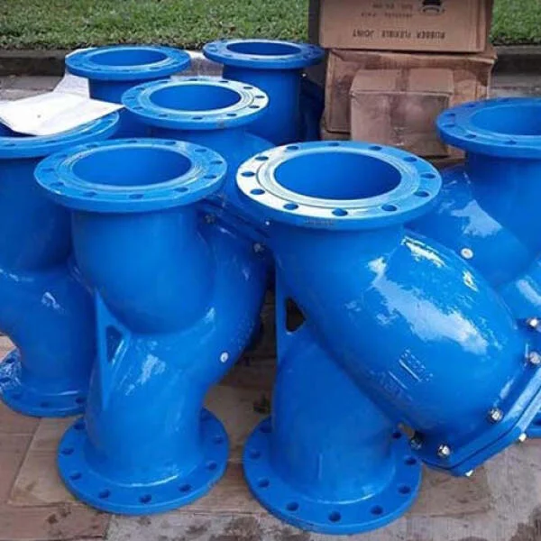 Y lọc DN100