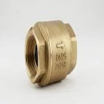 brass-spring-check-valve-1