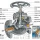 globle-valve-3