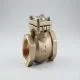 25mm-non-return-valve-1