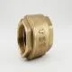 brass-spring-check-valve-1