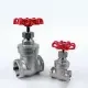Inox CF8M