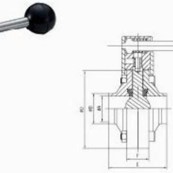 Sanitary-butterfly-valve-1-picture