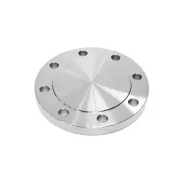 1 blind flange (3)