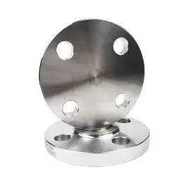 150 lb blind flange (3)