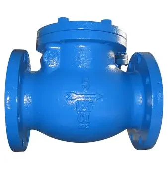 check valve dn50 (2)