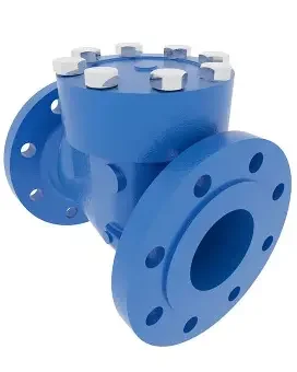 check valve dn50 (3)