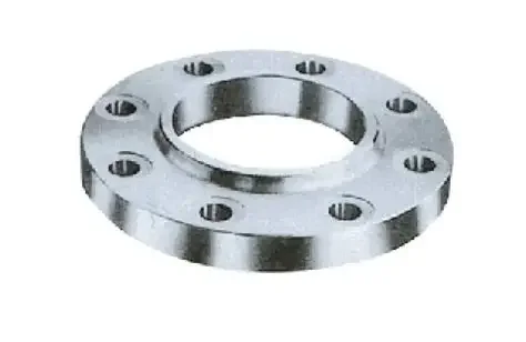 flange inox 316 (1)