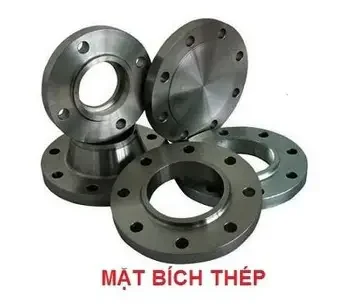 mặt bích BS 10K (2)