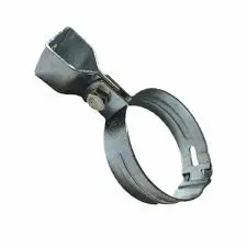 HÌnh ảnh minh hoạ(2)