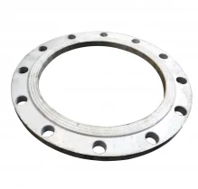 gioi-thieu-ve-bich-dn200 (1)