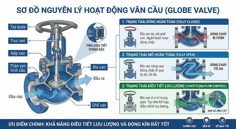 van-cau-la-gi (2)