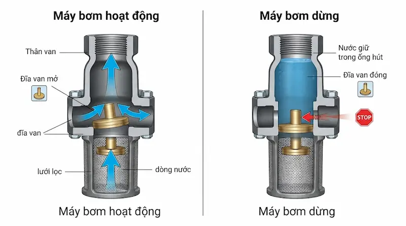 Nguyên lý hoạt động của van chân