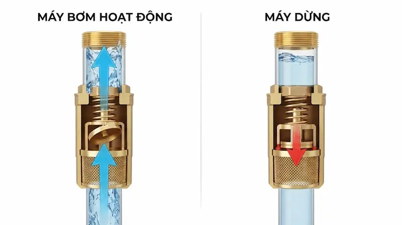 Nguyên lý hoạt động của van đáy