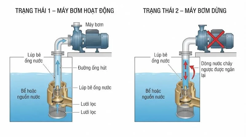 lup-be-ong-nuoc (2)