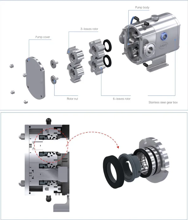 donjoy-food-grade-rotary-lobe-pump-sanitary-lobe-pump-price-stainless-steel-rotor-pump-2