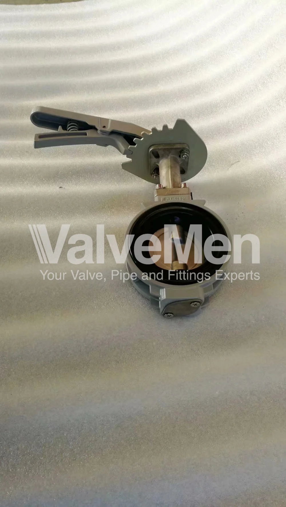 uploads/Th%C6%B0%20vi%E1%BB%87n%20%E1%BA%A3nh/Van%20b%C6%B0%E1%BB%9Bm/Butterfly%20valve%20for%20exhaust/mmexport1590594881636.png