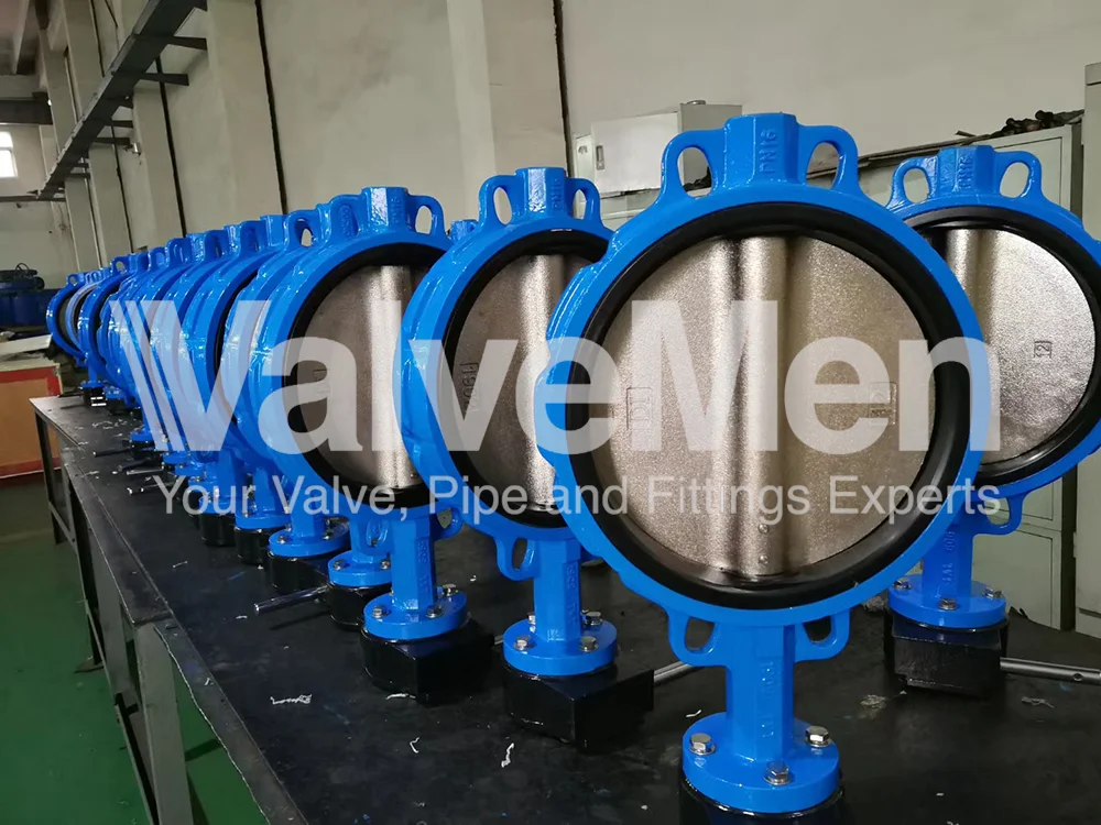 uploads/Th%C6%B0%20vi%E1%BB%87n%20%E1%BA%A3nh/Van%20b%C6%B0%E1%BB%9Bm/Butterfly%20valve%20in%20exhaust/mmexport1589961307518.png