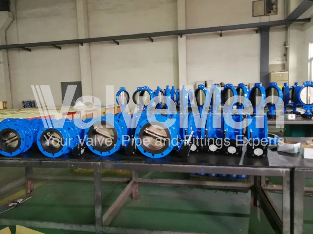 uploads/Th%C6%B0%20vi%E1%BB%87n%20%E1%BA%A3nh/Van%20b%C6%B0%E1%BB%9Bm/Butterfly%20valve%20in%20exhaust/mmexport1589961317365.png