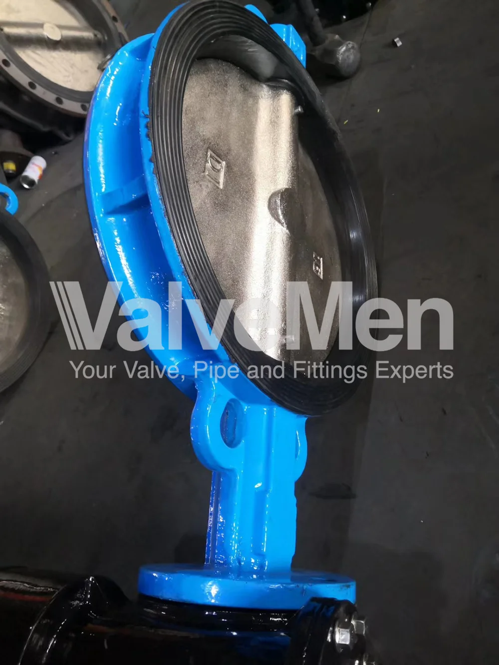 uploads/Th%C6%B0%20vi%E1%BB%87n%20%E1%BA%A3nh/Van%20b%C6%B0%E1%BB%9Bm/Butterfly%20valve%20ng%C3%A0y%2008%20th%C3%A1ng%2008%20n%C4%83m%202020/butterfly-valve-4-inch.png