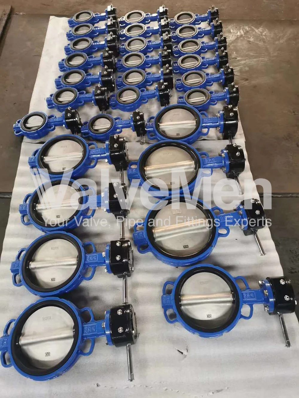 uploads/Th%C6%B0%20vi%E1%BB%87n%20%E1%BA%A3nh/Van%20b%C6%B0%E1%BB%9Bm/Butterfly%20valve%20ng%C3%A0y%2008%20th%C3%A1ng%2008%20n%C4%83m%202020/butterfly-valve-manufacturers.png