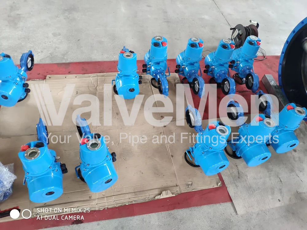 uploads/Th%C6%B0%20vi%E1%BB%87n%20%E1%BA%A3nh/Van%20b%C6%B0%E1%BB%9Bm/Butterfly%20valve%20with%20actuator/mmexport1589961591162.png