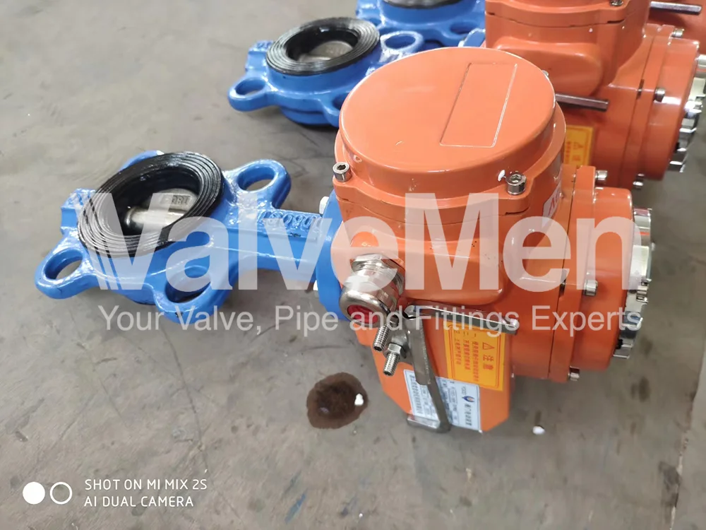 uploads/Th%C6%B0%20vi%E1%BB%87n%20%E1%BA%A3nh/Van%20b%C6%B0%E1%BB%9Bm/Butterfly%20valve%20with%20actuator/mmexport1589961599230.png