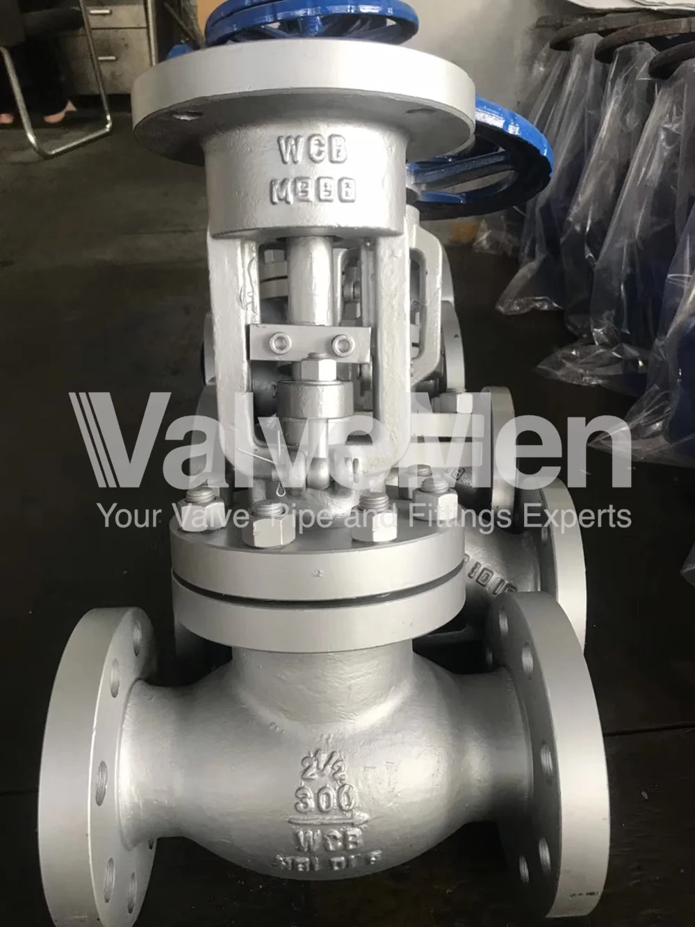 uploads/Th%C6%B0%20vi%E1%BB%87n%20%E1%BA%A3nh/Van/globe-valves/globe-valve-stainless-steel.png