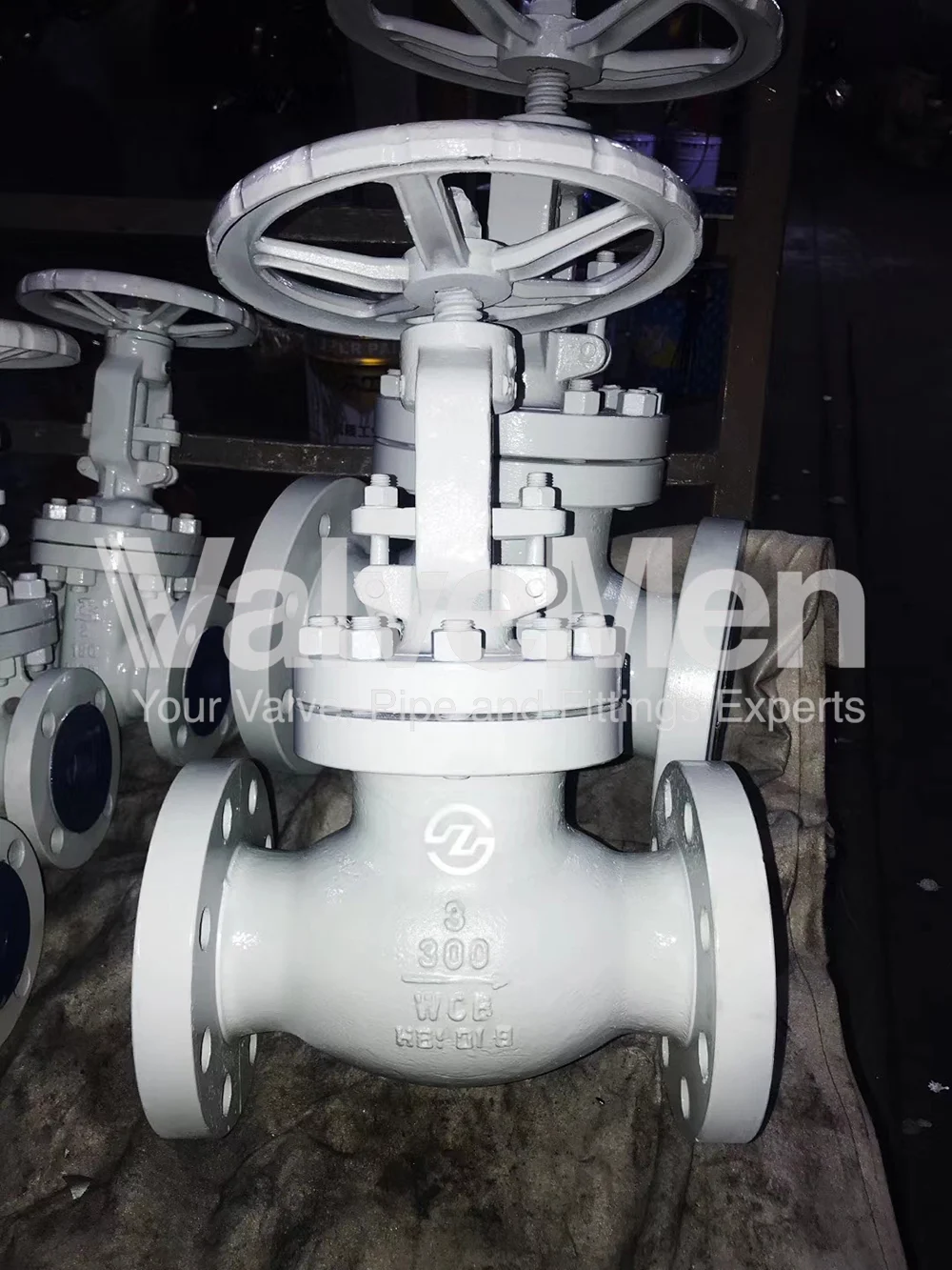 uploads/Th%C6%B0%20vi%E1%BB%87n%20%E1%BA%A3nh/Van/globe-valves/globe-valve-y-pattern.png