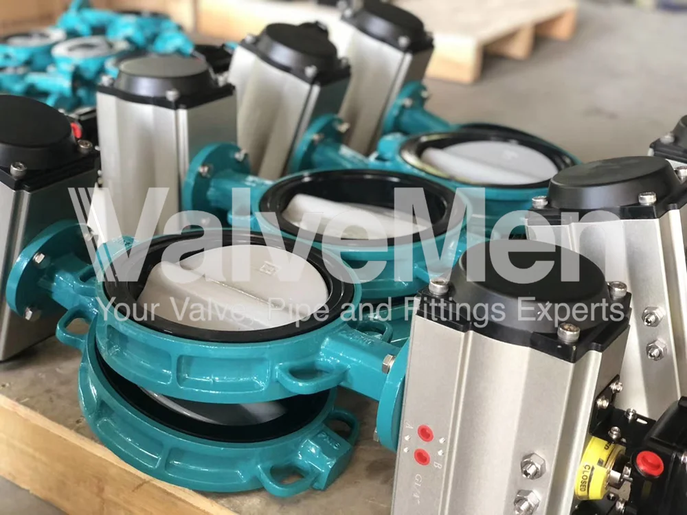 uploads/anh/butterfly-valve-actuator/butterfly-valve-flange.png